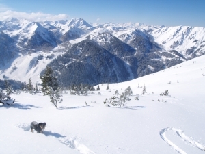 Binnenkort op de ski of snowboard? Wat dekt uw zorgverzekering?